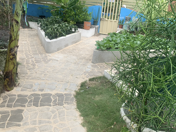 place photo 45