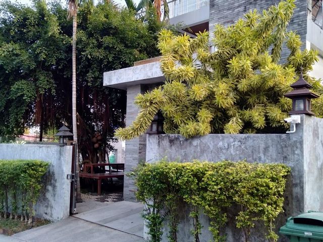 place photo 41