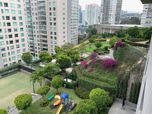 place photo 43