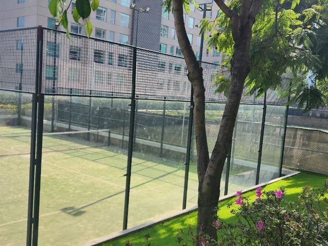 place photo 27