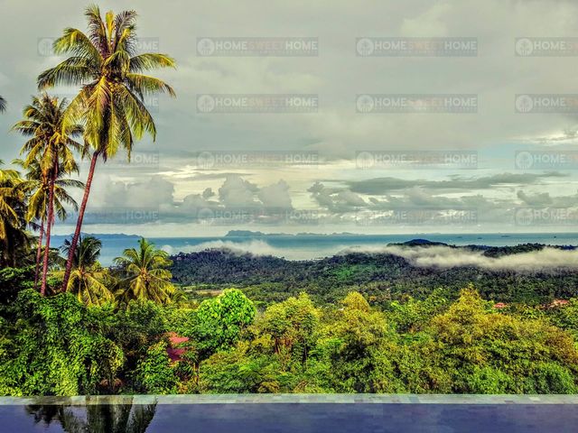 place photo 42