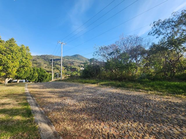 place photo 19