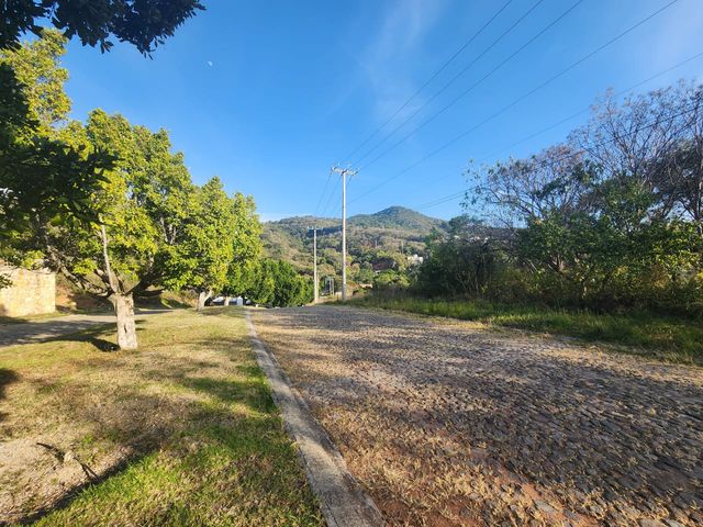 place photo 23