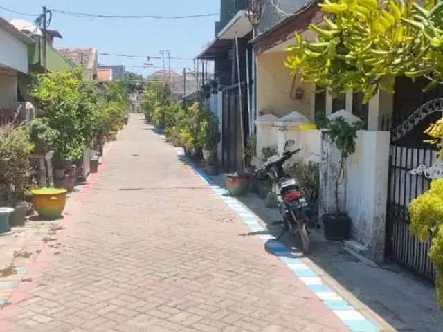 place photo 11