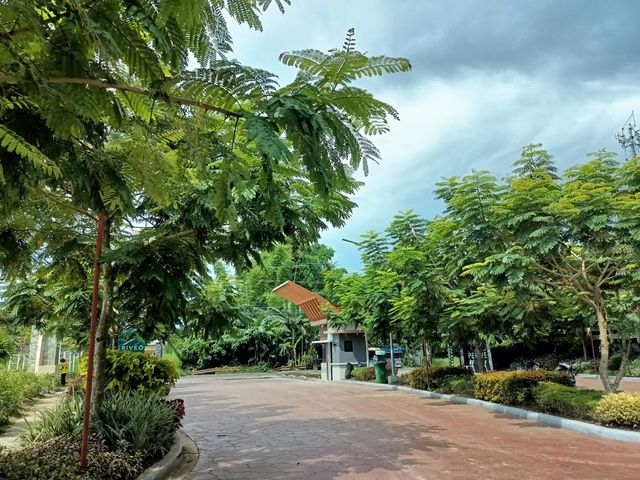 place photo 63
