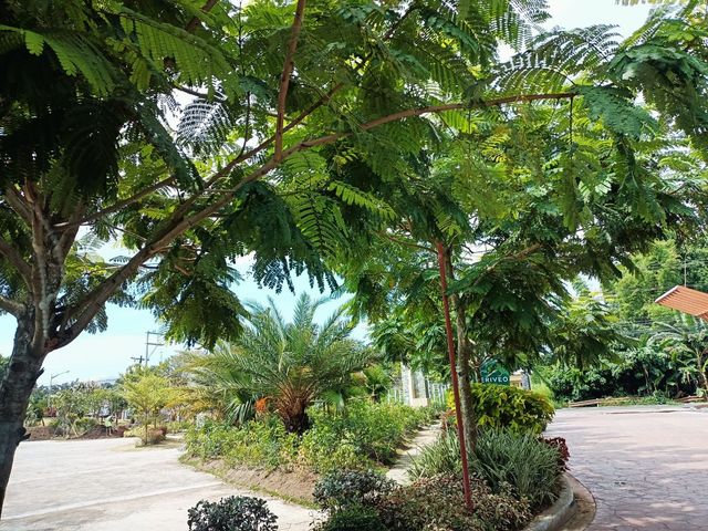 place photo 60