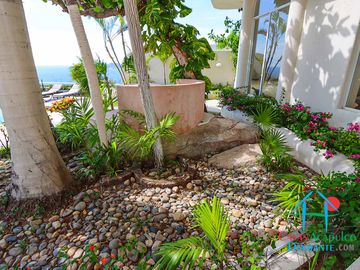 place photo 31