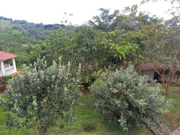 place photo 27