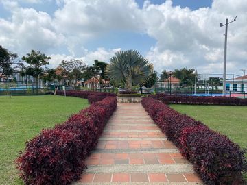 place photo 21