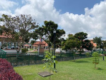 place photo 18