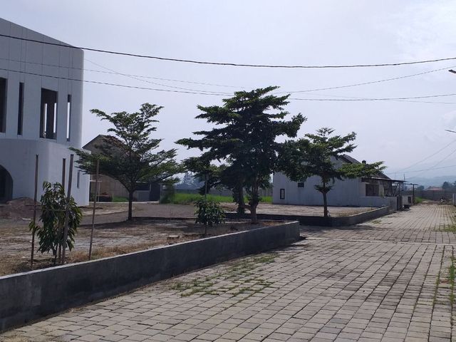 place photo 22