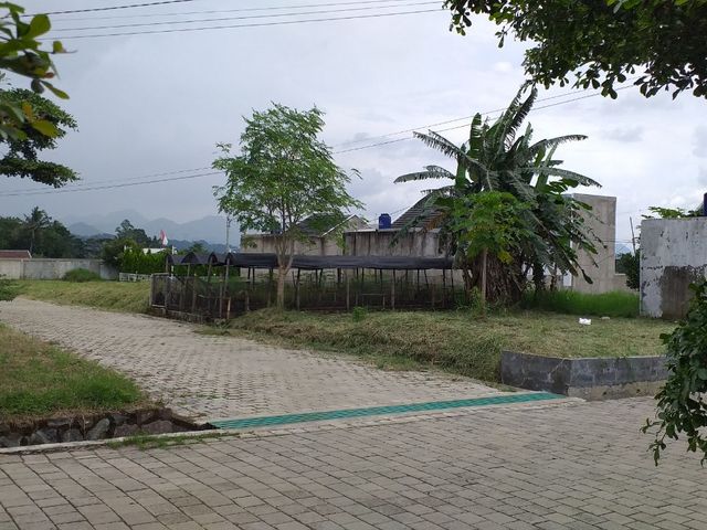 place photo 24