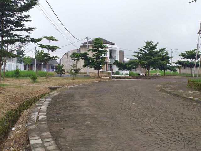 place photo 19
