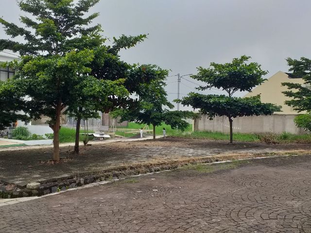 place photo 20