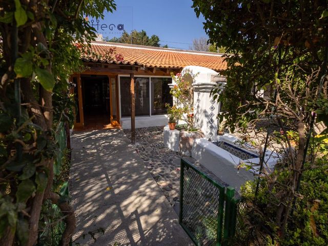place photo 59