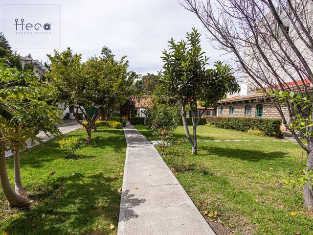 place photo 67