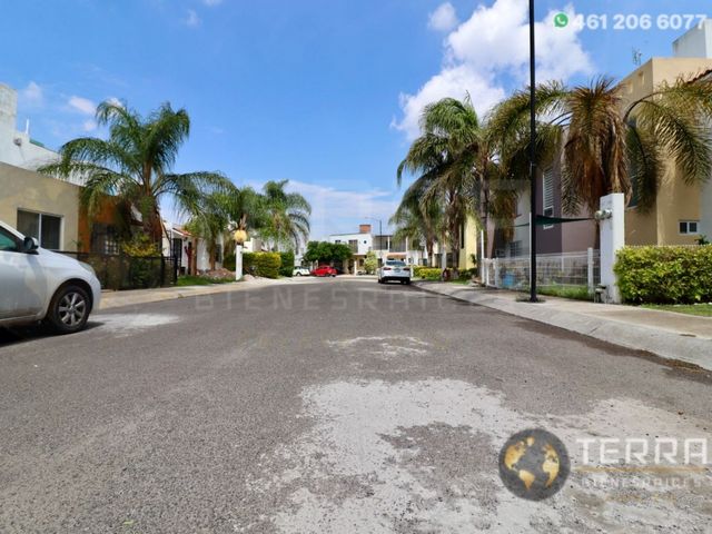place photo 23