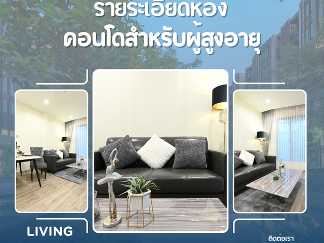 place photo 43