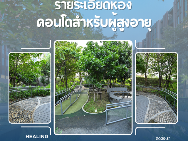 place photo 48