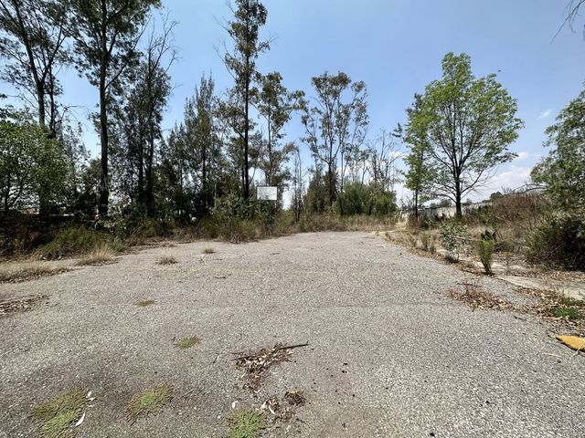 place photo 20
