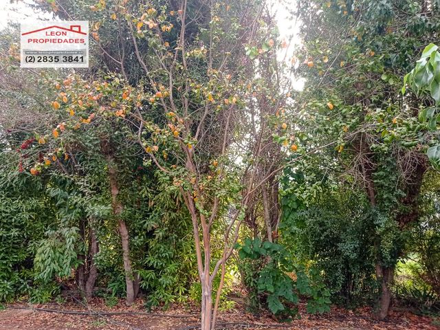 place photo 60