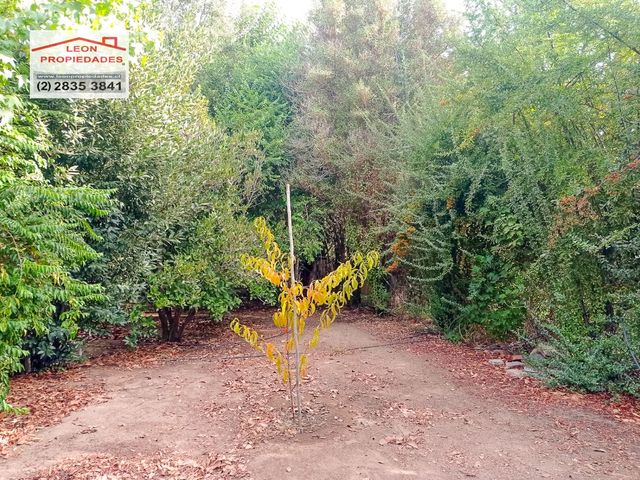 place photo 62