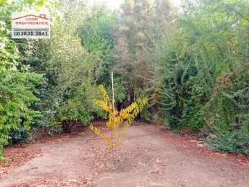 place photo 62