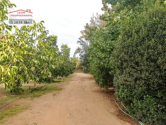 place photo 63