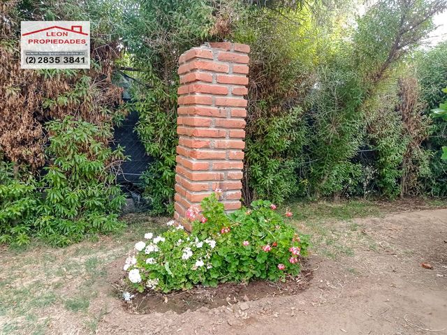 place photo 54