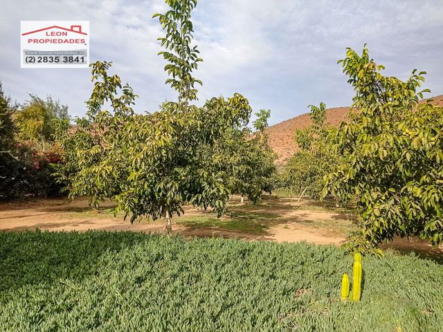 place photo 67