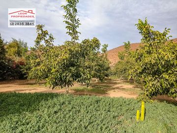 place photo 67