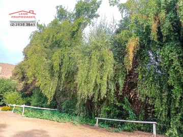 place photo 53