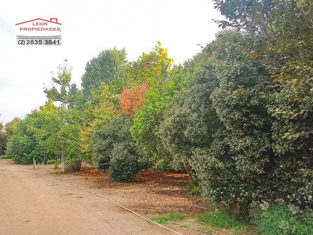place photo 61