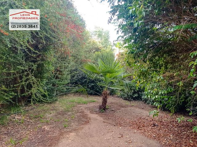 place photo 66