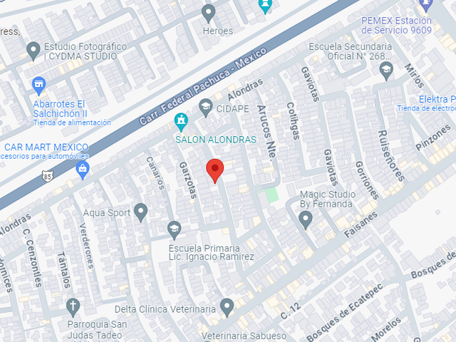 place photo 11