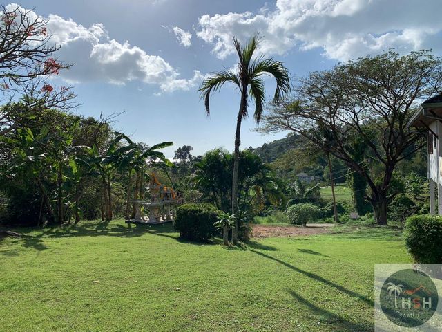 place photo 47