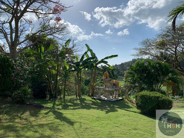 place photo 46