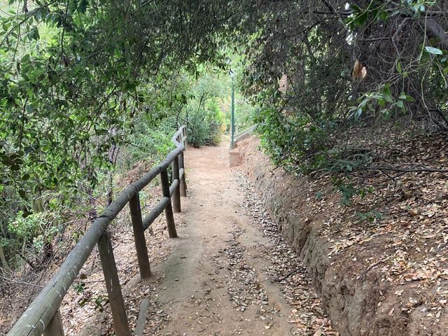 place photo 23