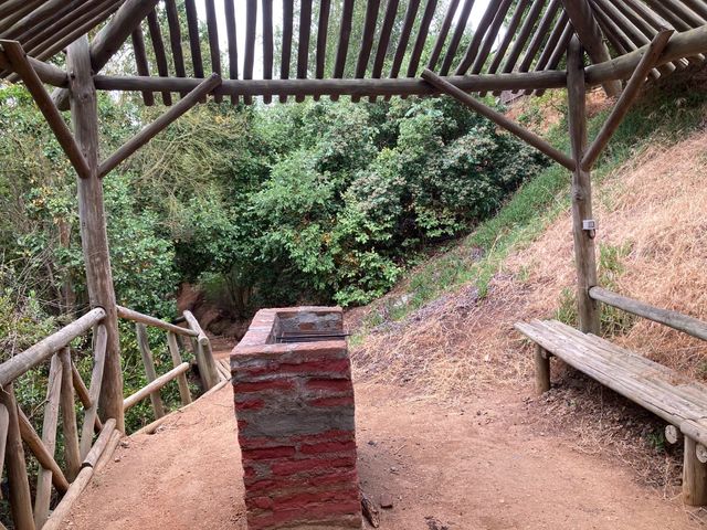 place photo 22