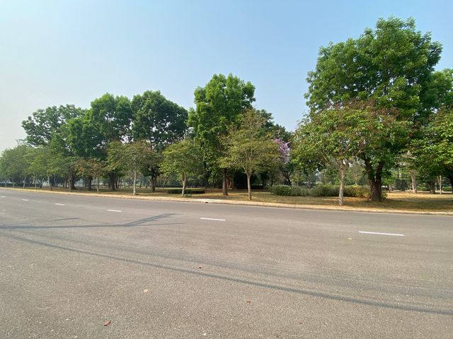 place photo 48