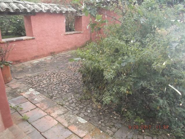 place photo 52
