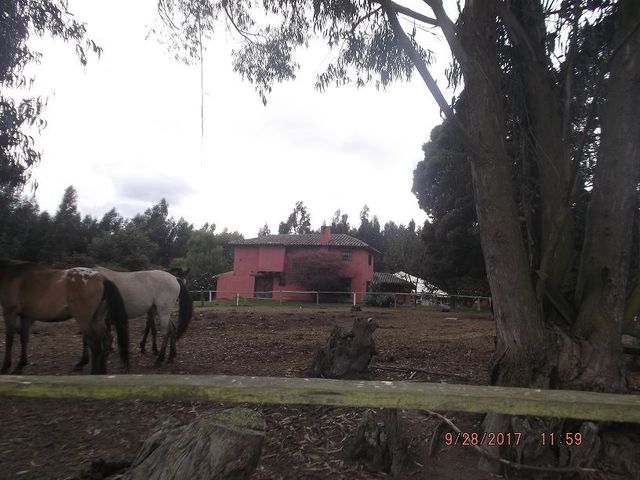 place photo 56