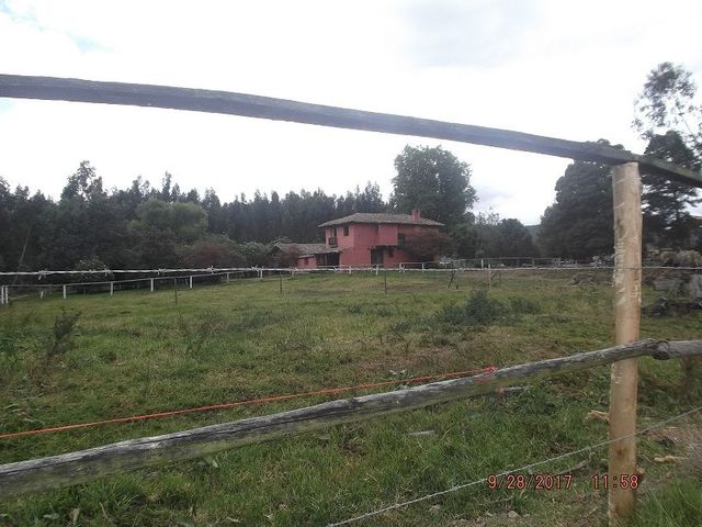 place photo 54