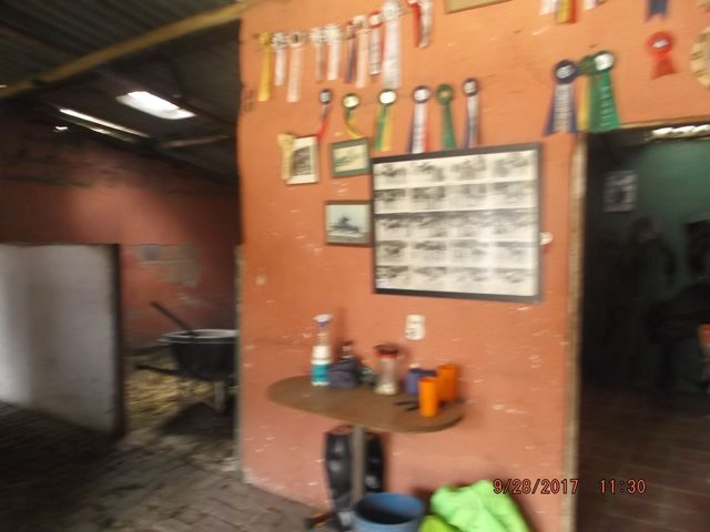 place photo 33