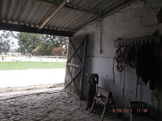 place photo 35