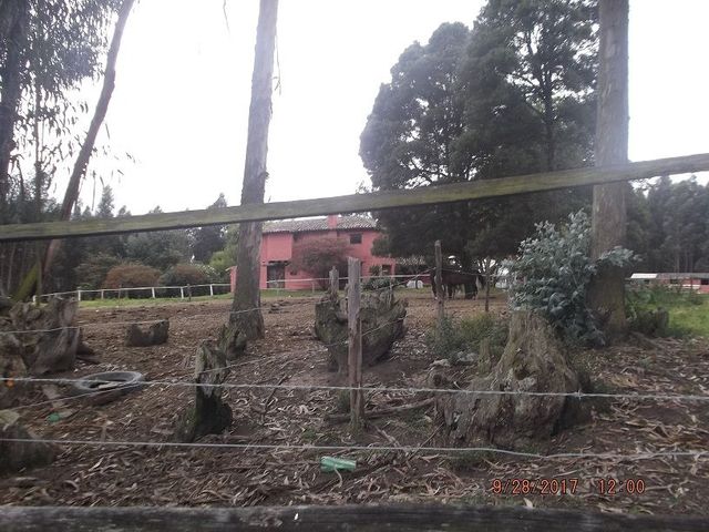 place photo 57