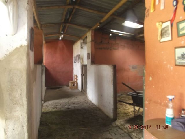 place photo 34