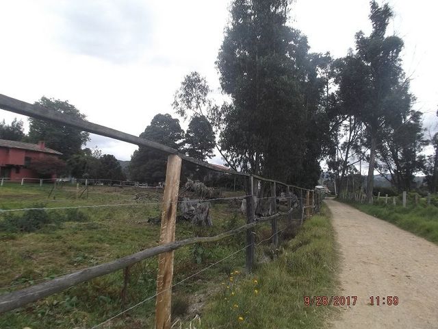 place photo 55
