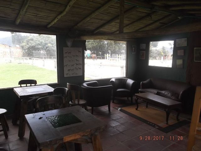 place photo 26