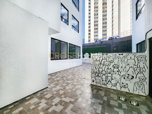 place photo 34